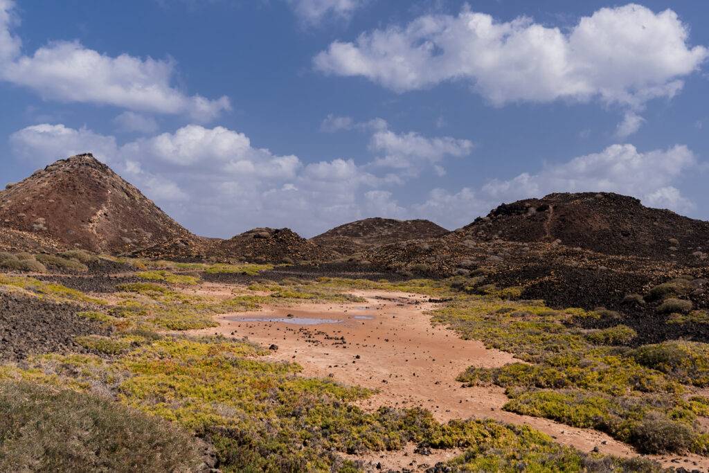 Tour packages - Lobos Island.