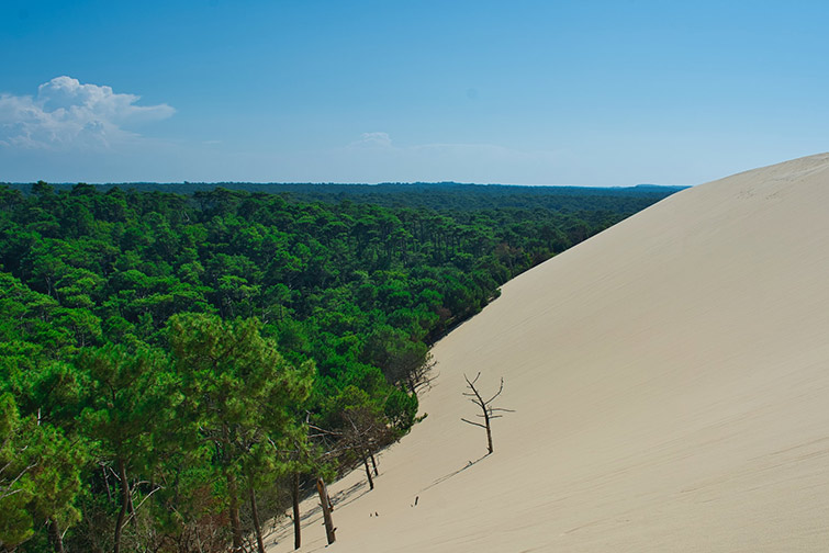 Dune of Pilat