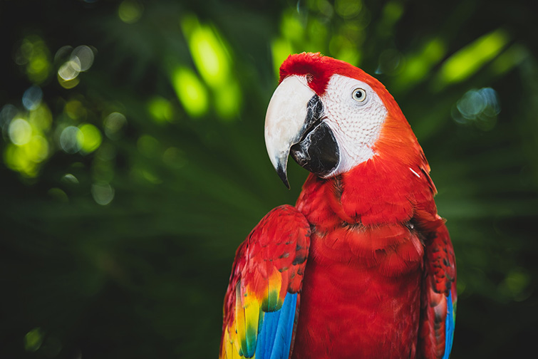 Xcaret Park